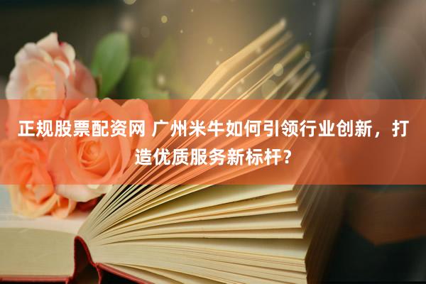 正规股票配资网 广州米牛如何引领行业创新，打造优质服务新标杆？