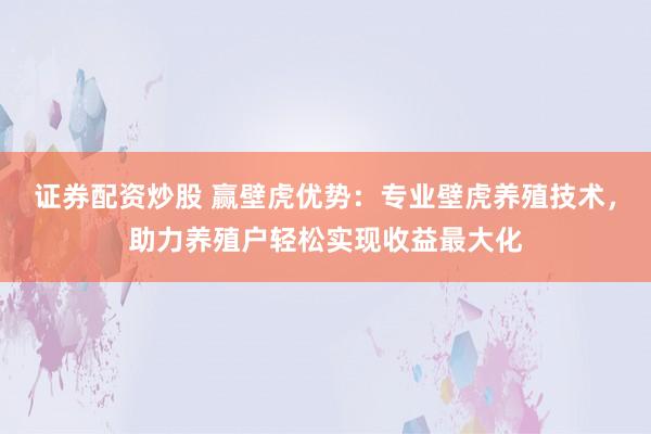 证券配资炒股 赢壁虎优势：专业壁虎养殖技术，助力养殖户轻松实现收益最大化