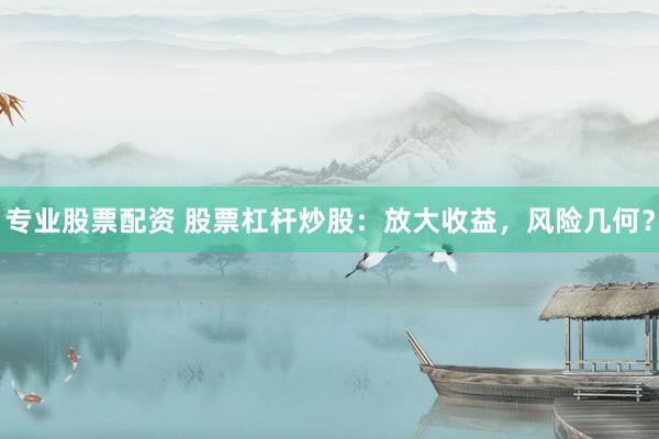 专业股票配资 股票杠杆炒股：放大收益，风险几何？