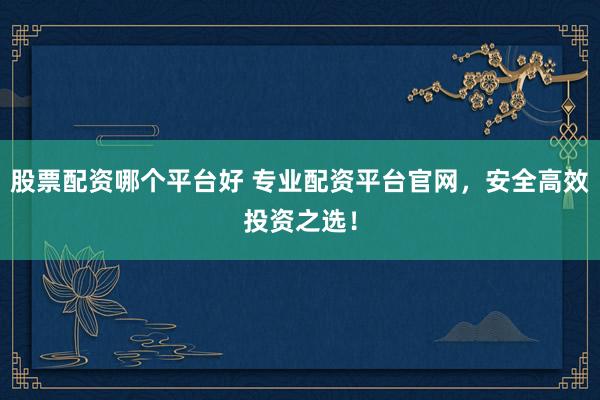 股票配资哪个平台好 专业配资平台官网，安全高效投资之选！