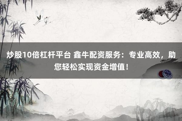 炒股10倍杠杆平台 鑫牛配资服务：专业高效，助您轻松实现资金增值！