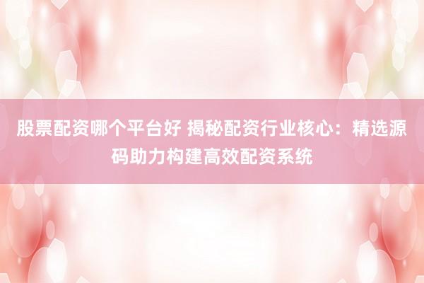 股票配资哪个平台好 揭秘配资行业核心：精选源码助力构建高效配资系统