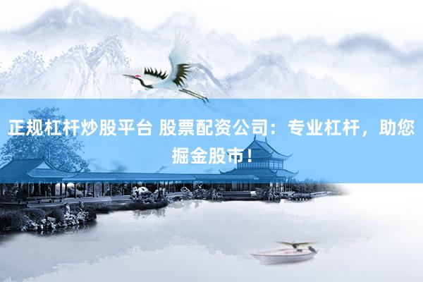 正规杠杆炒股平台 股票配资公司：专业杠杆，助您掘金股市！