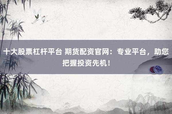 十大股票杠杆平台 期货配资官网：专业平台，助您把握投资先机！