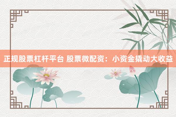 正规股票杠杆平台 股票微配资：小资金撬动大收益