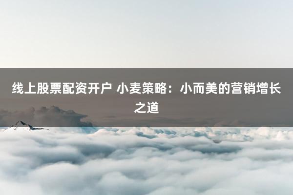 线上股票配资开户 小麦策略：小而美的营销增长之道