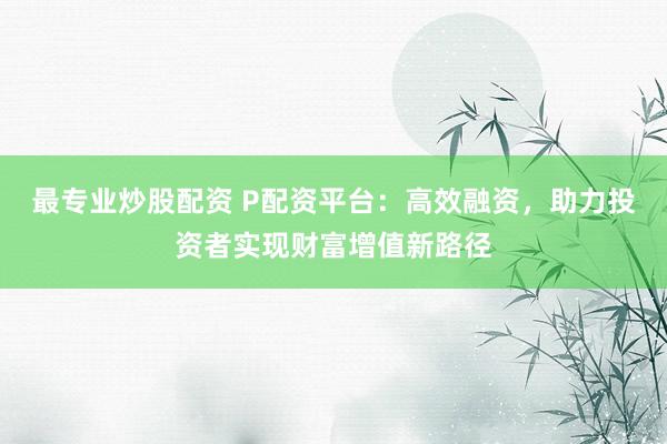 最专业炒股配资 P配资平台：高效融资，助力投资者实现财富增值新路径