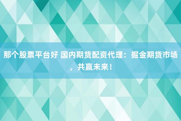 那个股票平台好 国内期货配资代理：掘金期货市场，共赢未来！